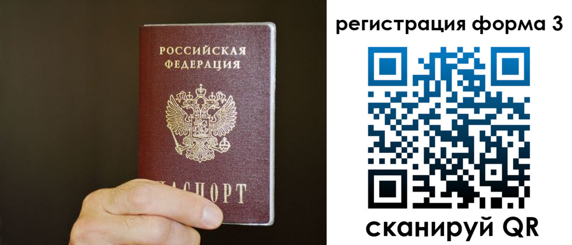 где прописаться в Александрове
